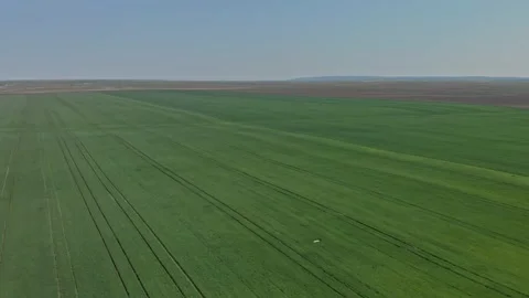 Aerial shot of grain fields Stock Footage 171569616