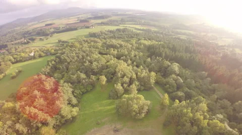 Aerial shot of green fields Stock Footage 64481928