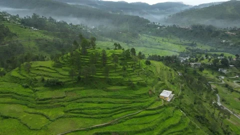 Aerial shot of green fields, step farming in the hills of uttarakhand. Stock Footage 249372649