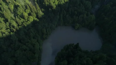 Aerial Shot Of Green Pine Trees And Lake In Alps Forest Stock Footage 266786418