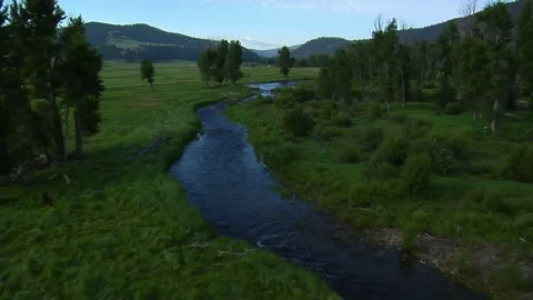 Aerial shot of green valley with river Stock Footage