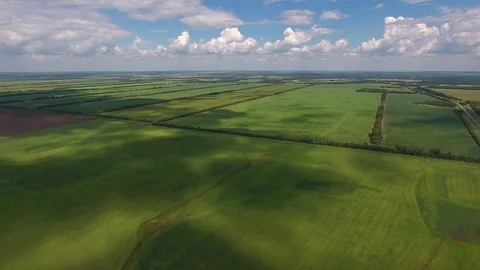 Aerial shot of green wheat fields with cloudy sky and Shadows from the clouds Vidéo 75074677
