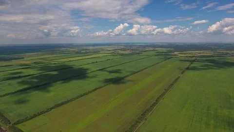 Aerial shot of green wheat fields with cloudy sky and Shadows from the clouds Stock-Footage 75466207