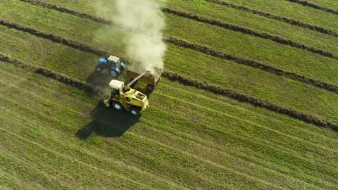 Aerial shot. Harvest. Combine harvester and tractor work in the field, top view. Stock Footage