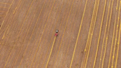 Aerial shot of harvester loading off pumpkin. Stock Footage 143807457