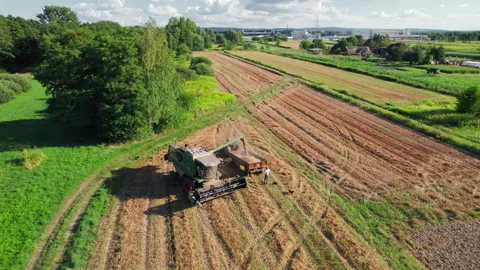 Aerial shot of a harvester loading wheat on trailer during the harvest season Stock Footage 247079058