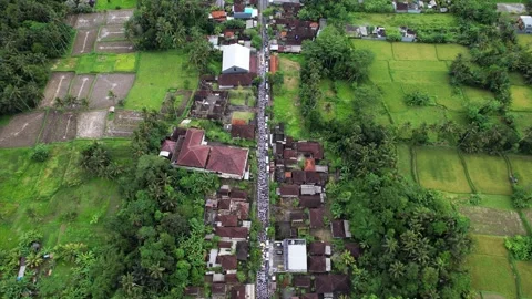 Aerial shot from height, long procession fill up village street Stock Footage 241515974