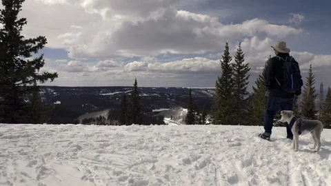 Aerial shot of a high panoramic viewpoint in the wintry snow with man and dog Stock Footage 128669295
