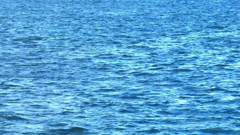 Aerial shot highlighting the smooth, rhythmic ocean waves. Stock Footage 307854049