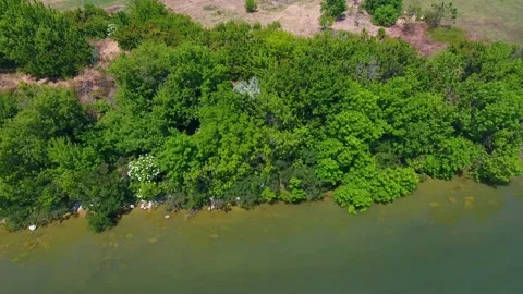 Aerial shot of the hilly Dnipro bank with green and salad trees in summer Stock Footage 88202053