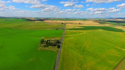 Aerial shot of a house at regular intervals on a large wheat field in Palouse. Stock Footage 83193145