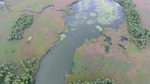 Aerial shot of a human head looking inflow in the Dnipro area with thin creeks Stock Footage 87985063