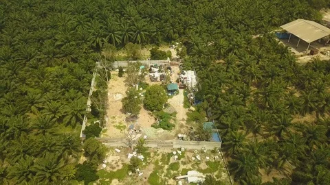 Aerial shot of illegal plastics dumping in forest,Jenjarom,Malaysia Stock Footage 112405965