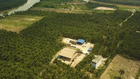 Aerial shot of illegal plastics dumping in forest,Jenjarom,Malaysia Stock Footage 112406054