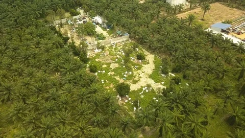 Aerial shot of illegal plastics dumping in forest,Jenjarom,Malaysia Stock Footage 112406111
