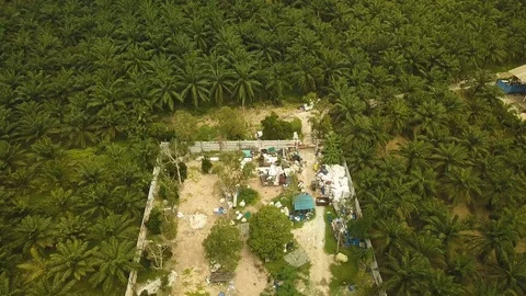 Aerial shot of illegal plastics dumping in forest,Jenjarom,Malaysia Stock Footage 112406126