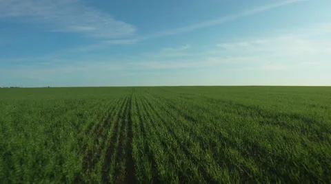 Aerial Shot of Impressive Large Scale Green Agricultural Fields in Bright Sunny Stock Footage 64679806