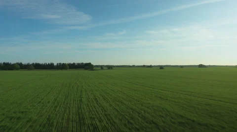 Aerial Shot of Impressive Large Scale Green Agricultural Fields in Bright Sunny  Stock Footage 64679975