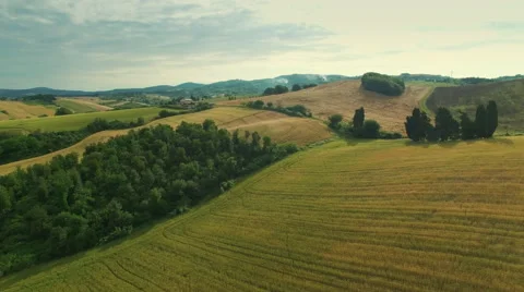 Aerial Shot of Impressive Large Scale Agricultural Fields in Southern Europe Stock Footage 64769674