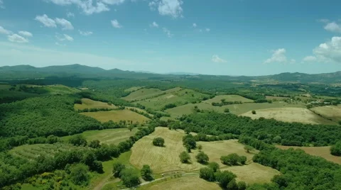 Aerial Shot of Impressive Large Scale Forest and Agricultural Fields Stock Footage 64770084