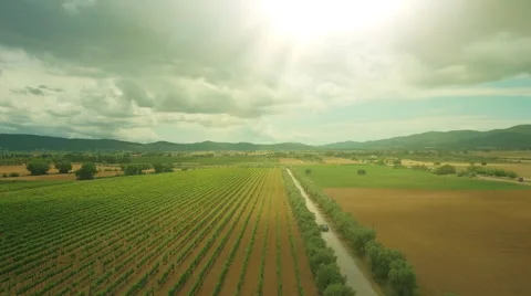 Aerial Shot of Impressive Large Scale Agricultural Fields in Southern Europe Stock Footage 64770671