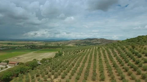 Aerial Shot of Impressive Large Scale Agricultural Fields in Southern Europe Stock Footage 64770715