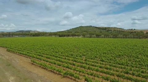 Aerial Shot of Impressive Large Scale Agricultural Fields in Southern Europe Stock Footage 64770879