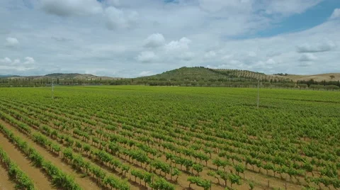 Aerial Shot of Impressive Large Scale Agricultural Fields in Southern Europe Stock Footage 64771098