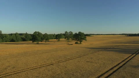 Aerial Shot of Impressive Large Scale Agricultural Fields in Sunset Light Stock Footage 64932305