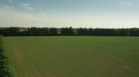 Aerial Shot of Impressive Large Scale Agricultural Fields in Bright Sunny Day. Stock Footage 64933450