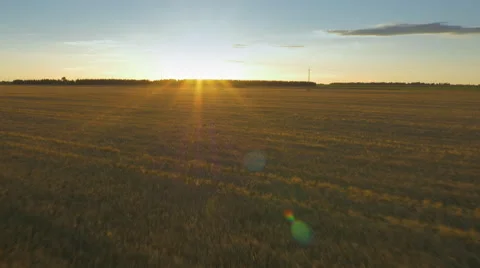 Aerial Shot of Impressive Large Scale Agricultural Fields in Sunset Light Stock Footage 64935914