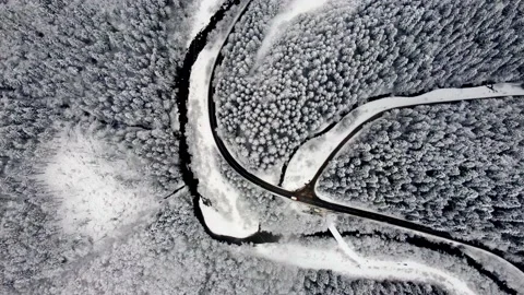 Aerial shot of the intersection of roads and streams in a forest in winter.Trees Stock Footage 236750207