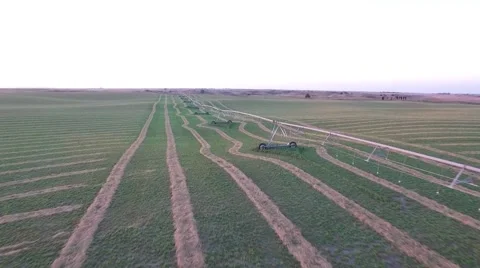 Aerial Shot - Irrigation System Stock Footage 64978522
