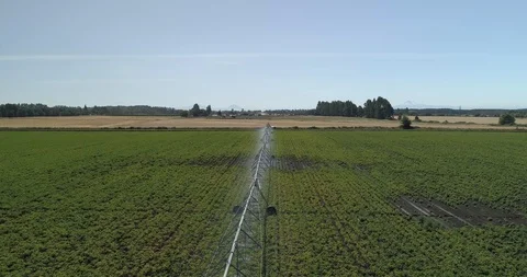 Aerial shot of irrigation system Stock Footage 124853088