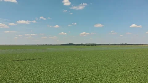Aerial shot of irrigation system Stock Footage 171567404