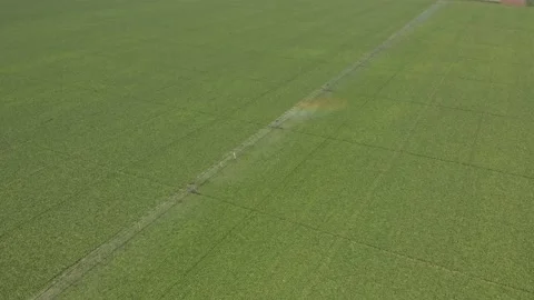 Aerial shot of irrigation system Stock Footage 171567507