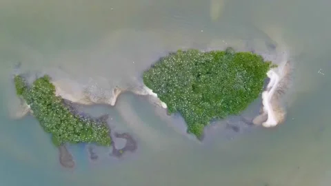 Aerial Shot of an Island Covered in Birds Stock Footage