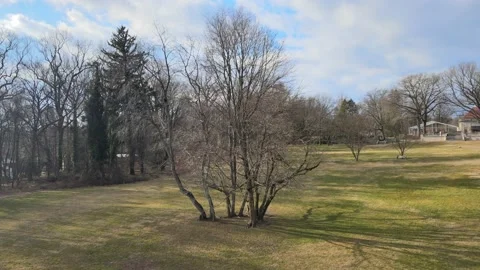 Aerial Shot of Isolated Tree in Winter at Curtis Hall Arboretum Stock Footage 158959347
