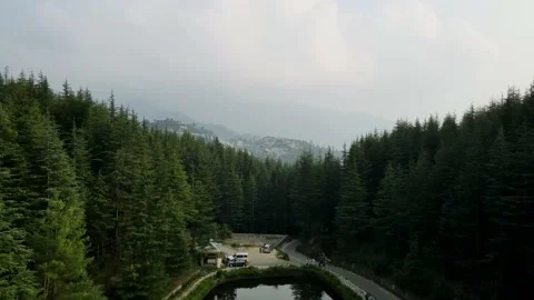 Aerial shot of a lake covered in between green trees. Captured during sunset  Stock Footage 203820007