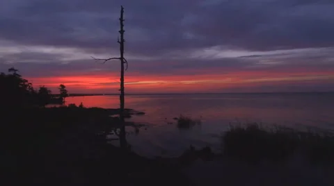 Aerial Shot of the Lake at Sunset while Orbiting a Silhouetted Tree 스톡 동영상 68865926
