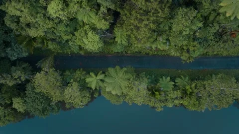 Aerial shot of lakeside pathway in New Zealand native rainforest Stockbeeldmateriaal 244547708