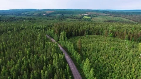 Aerial shot of landscape in Northern Sweden. Flying over forest and road Stock Footage