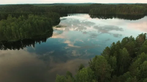 Aerial Shot of Large Forest River Surrounded by Pine Trees Vídeo Stock 65247149