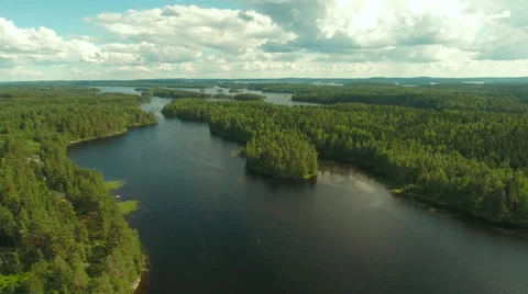Aerial Shot of Large Forest River Surrounded by Pine Trees Video stock 65247189