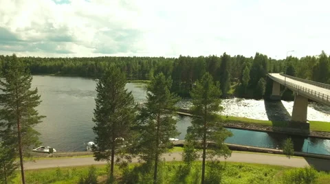 Aerial Shot of Large Forest River Surrounded by Pine Trees Stock Footage 65254196