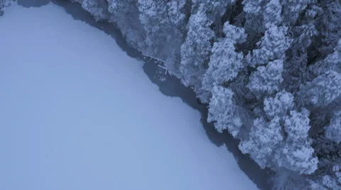 Aerial Shot of Large Pine Forest Covered with Snow at Winter. Stock Footage 65412981
