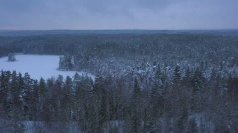 Aerial Shot of Large Pine Forest Covered with Snow at Winter. Stock Footage 65412985