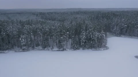Aerial Shot of Large Pine Forest Covered with Snow at Winter. Stock Footage 65413700