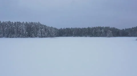 Aerial Shot of Large Pine Forest Covered with Snow at Winter. Stock Footage 65413885