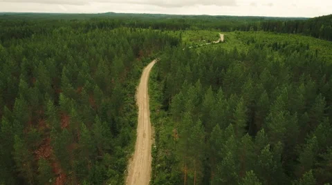 Aerial Shot of Large River Surrounded by Pine Forest Stock Footage 65245591